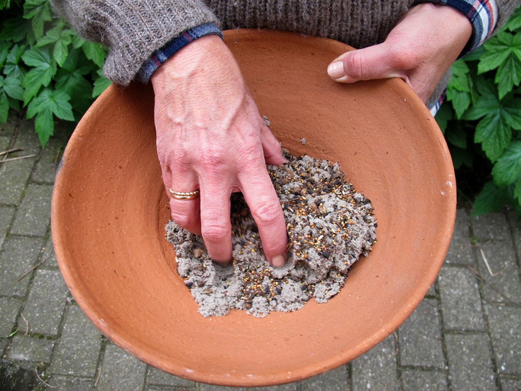 Frø og sand blandes for at gøre det nemmere at sprede frøene ud.