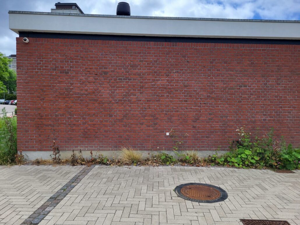 Afløb fra Graffiti-fjernelse har dræbt vegetationen nedenfor