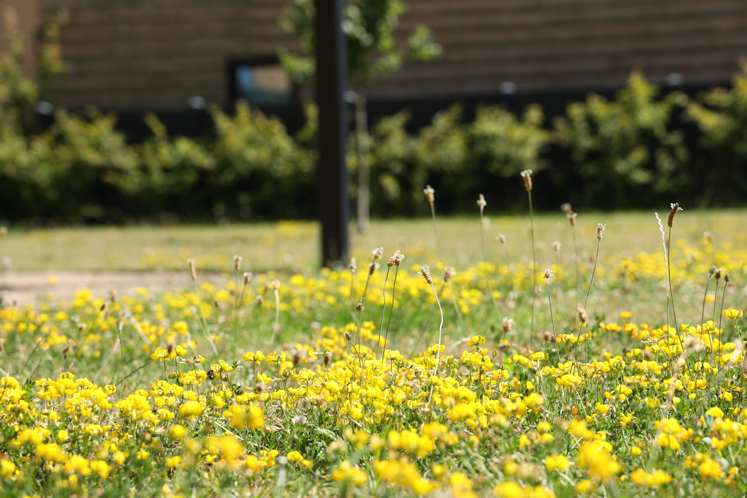 KAB_Header_5