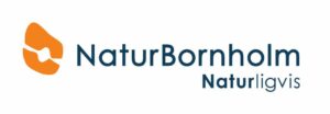NaturBornholm-logo rentegnet_crop
