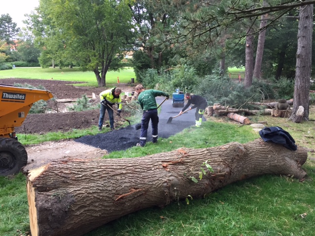 beskrivelse af aktivitetsuge i Elverparken